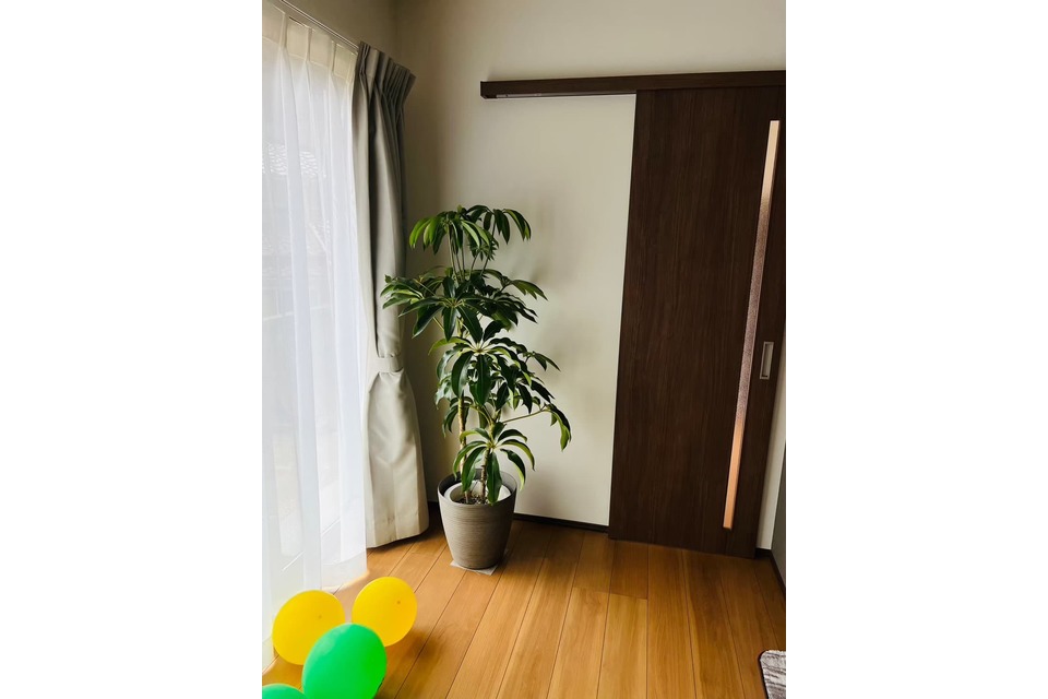 の画像