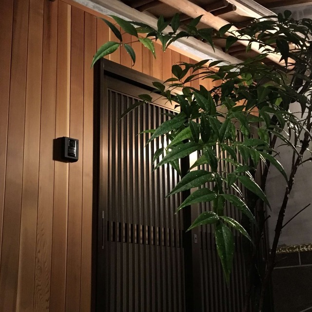 の画像